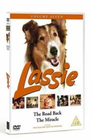 Streaming sources forLassie  The Road Back