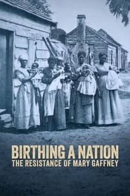 Birthing a Nation The Resistance of Mary Gaffney' Poster