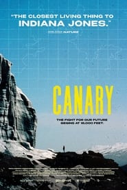 Canary' Poster