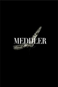 Meddler' Poster