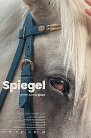 Spiegel' Poster