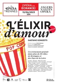 Lelixir damour  Donizetti  Angers Nantes opra