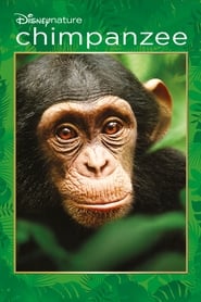 Streaming sources forChimpanzee