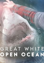 Great White Open Ocean' Poster