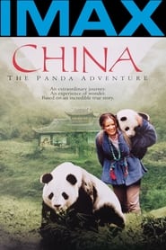 China The Panda Adventure' Poster