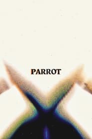 Parrot' Poster