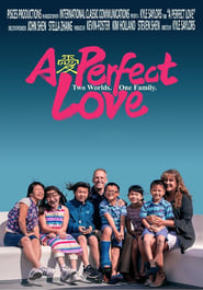 A Perfect Love' Poster