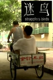 Stragglers Birds' Poster