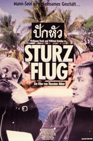 Sturzflug' Poster