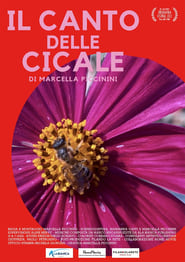 IL CANTO DELLE CICALE' Poster