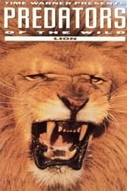 Predators of the Wild Lion' Poster