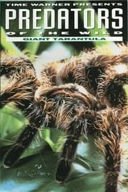 Predators of the Wild Giant Tarantula' Poster