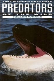 Predators of the Wild Killer Whale' Poster