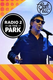 Soft Cell Radio 2 in the Park' Poster