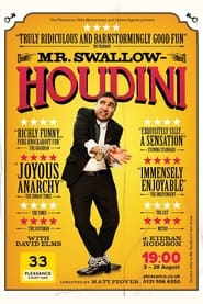 Mr Swallow Houdini' Poster