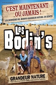 Les Bodins  Grandeur Nature  La Dernire Des Znith' Poster