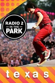 Texas Radio 2 in the Park' Poster