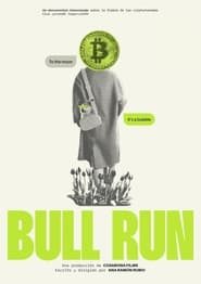 Bull Run' Poster