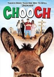 Chooch' Poster