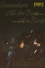 Somewhere all the boys are birds' Poster