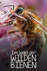 Im Wald der wilden Bienen' Poster