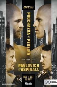UFC 295 Prochazka vs Pereira' Poster