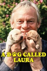 A Dog Called Laura' Poster