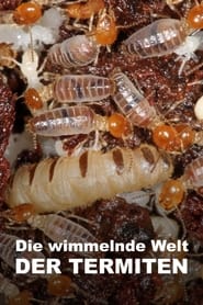 The World According to Termites' Poster