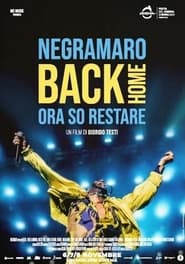 Negramaro Back Home  Ora so restare' Poster