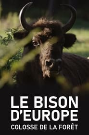 Le Bison dEurope colosse de la fort' Poster