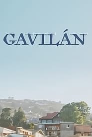 Gaviln' Poster