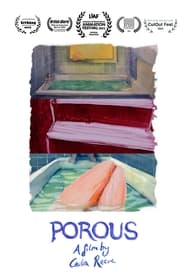 Porous' Poster