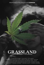 Grassland' Poster