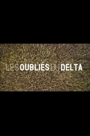 Les oublis du Delta' Poster