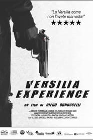 Versilia Experience' Poster