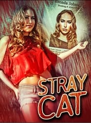 Stray Cat' Poster