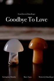 Goodbye To Love' Poster