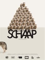 Sheep' Poster