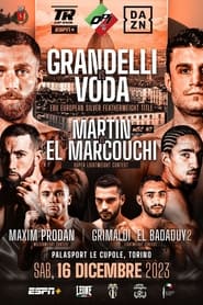 Francesco Grandelli vs Stefan Voda' Poster