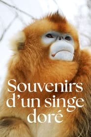 Souvenirs dun singe dor' Poster