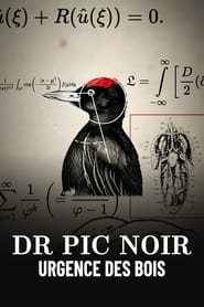 Dr Pic Noir urgence des bois' Poster