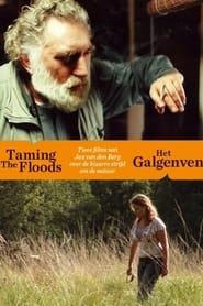 Taming the Floods' Poster