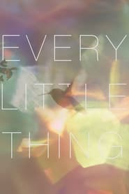 Every Little Thing' Poster
