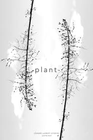 Plant' Poster