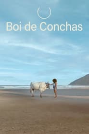 Boi de conchas' Poster