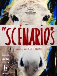 Scnarios' Poster