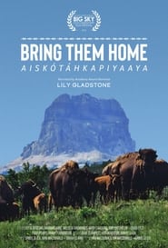 Bring Them Home' Poster