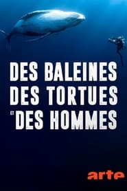 Des baleines des tortues et des hommes' Poster