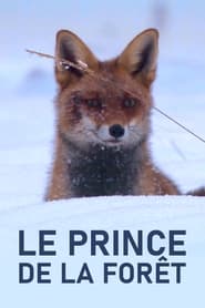 Le Prince de la fort' Poster