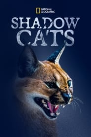 Shadow Cats' Poster